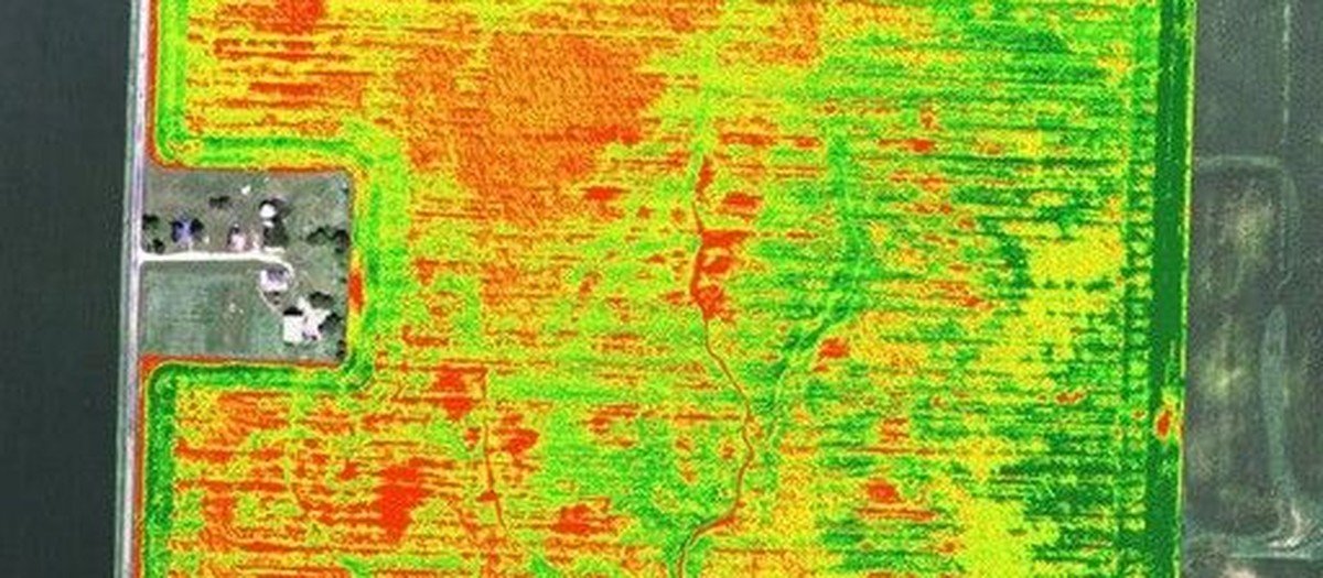 Агрокомплексы